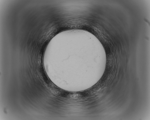 X0000096460695200802211126