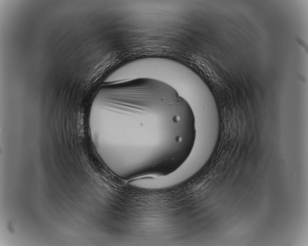 X0000096460696200802211126