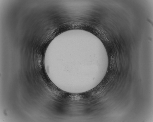X0000096460698200802211126