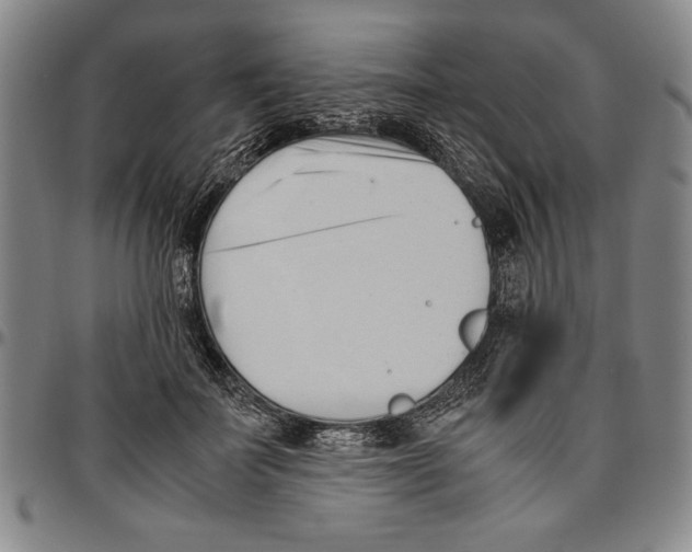 X0000096460699200802211126