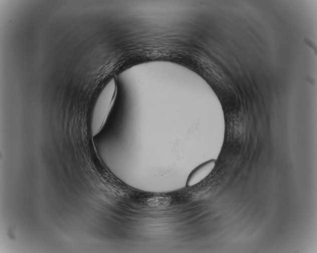 X0000096460700200802211126