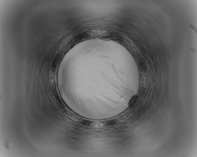 X0000096460701200802211126