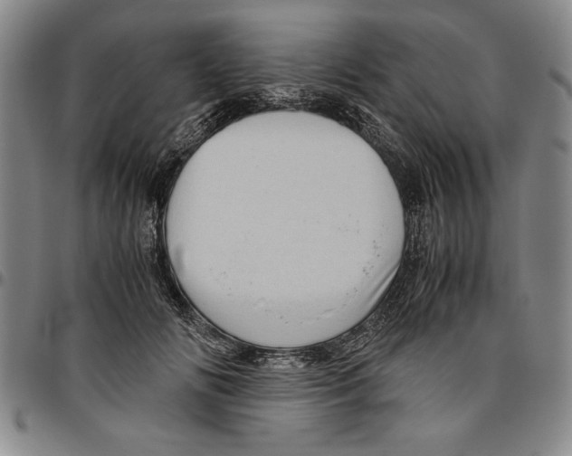 X0000096460702200802211126