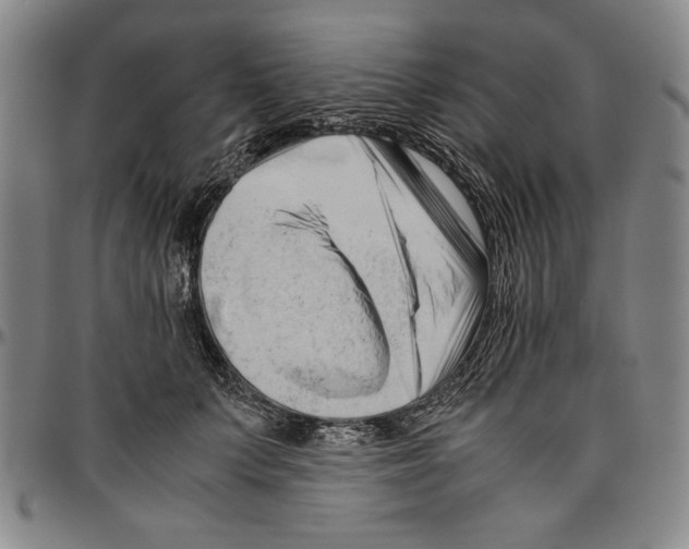 X0000096460703200802211126