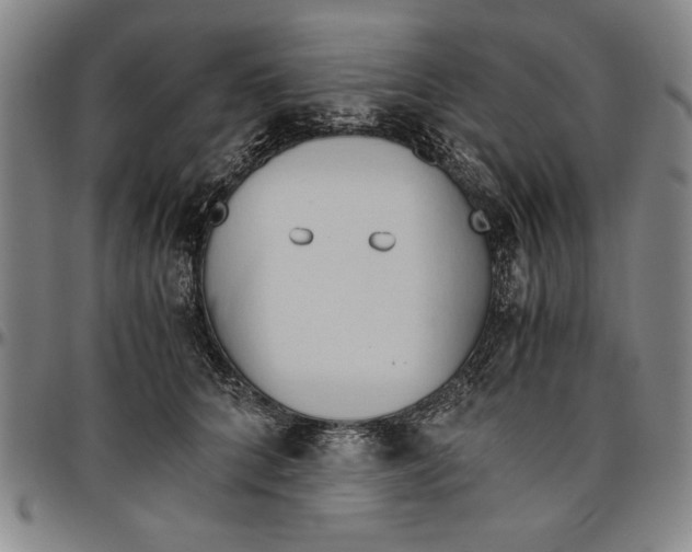 X0000096460704200802211126
