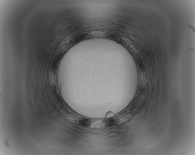 X0000096460705200802211126