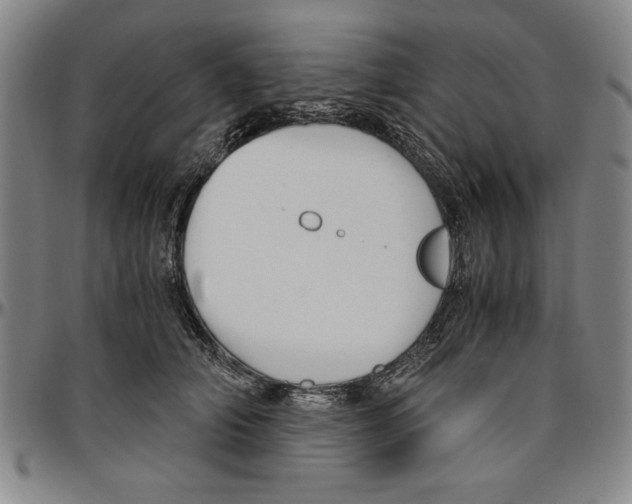 X0000096460706200802211126