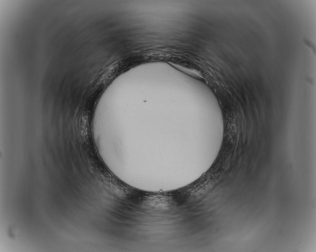 X0000096460708200802211126