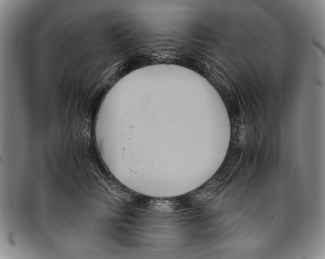 X0000096460710200802211126