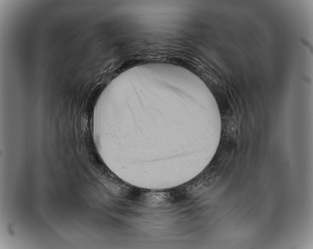 X0000096460711200802211126