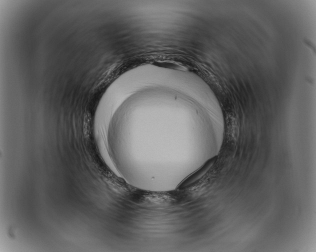 X0000096460712200802211126