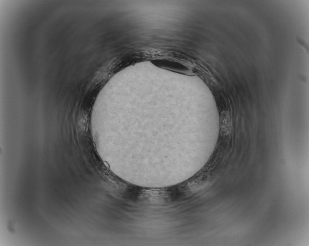 X0000096460713200802211126