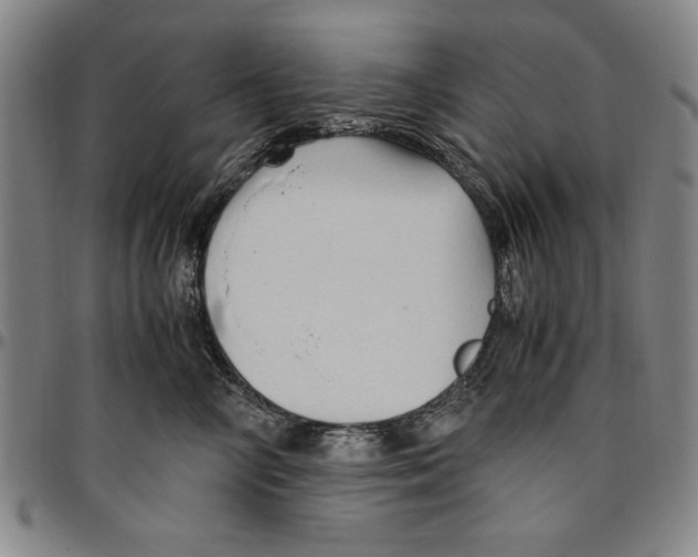 X0000096460714200802211126