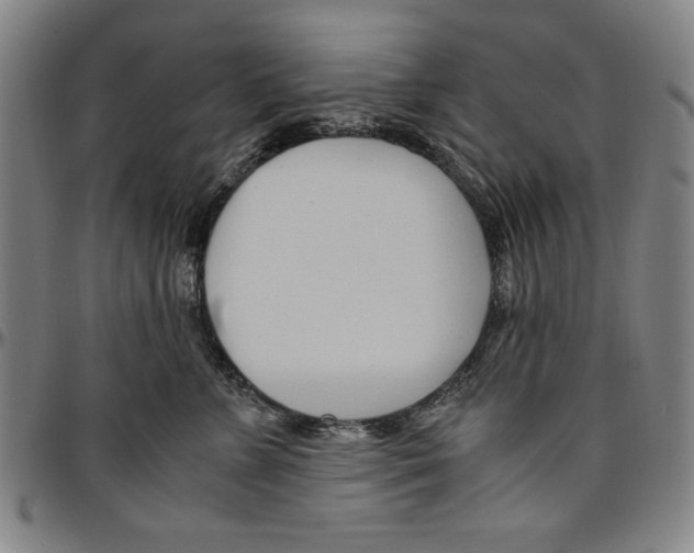 X0000096460715200802211126