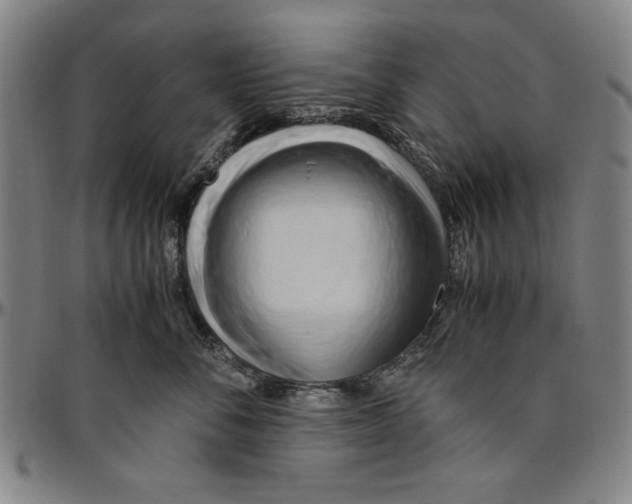 X0000096460716200802211126