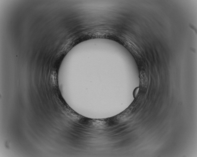X0000096460718200802211126