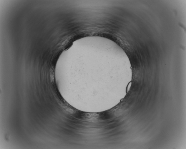 X0000096460719200802211126