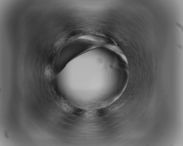 X0000096460720200802211126