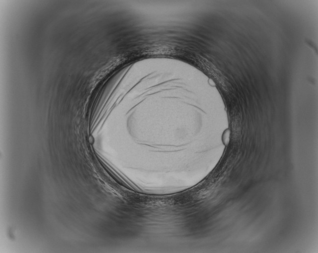 X0000096460721200802211125