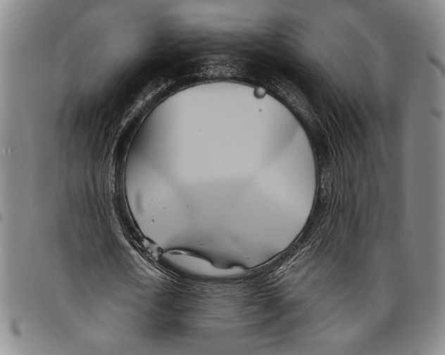 X0000096460722200802211125