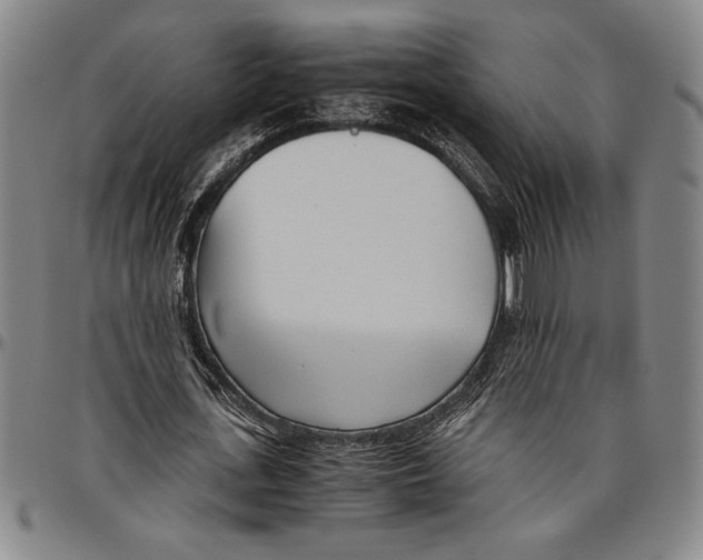 X0000096460723200802211125