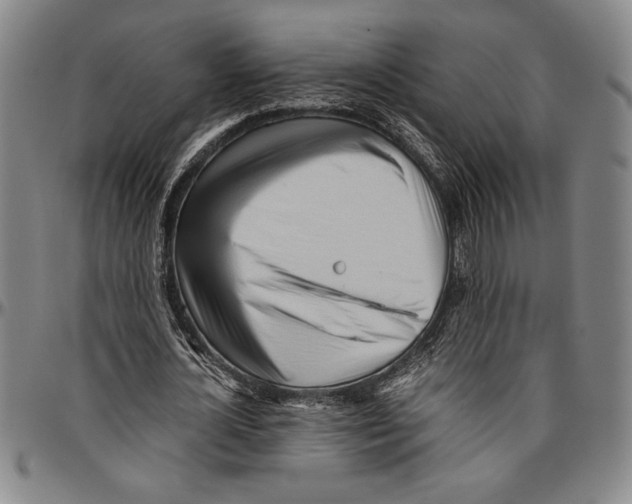 X0000096460724200802211125