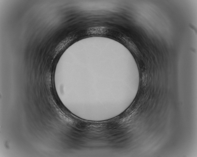 X0000096460725200802211125