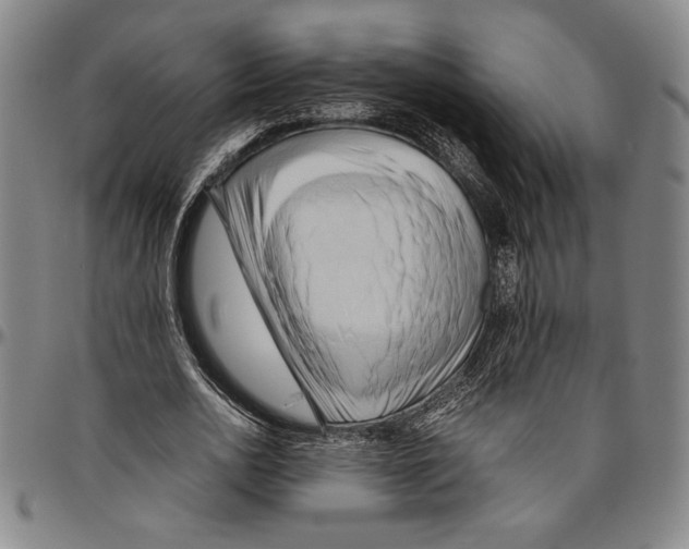 X0000096460726200802211125