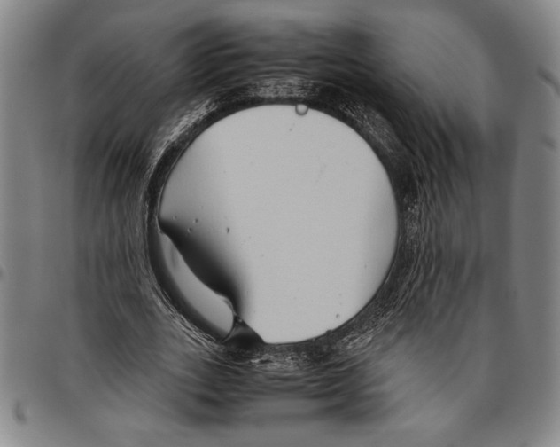 X0000096460727200802211125
