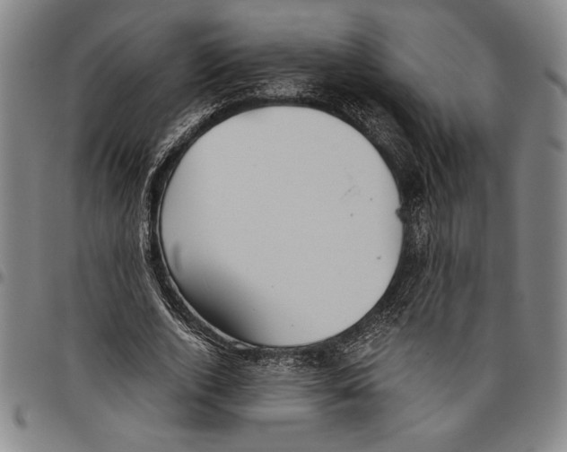 X0000096460728200802211125