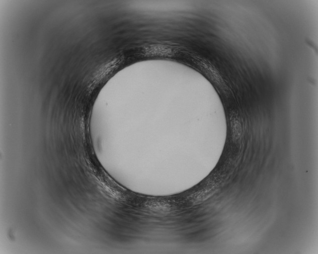 X0000096460729200802211125