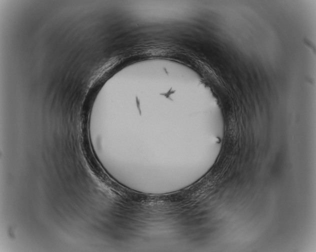 X0000096460730200802211125