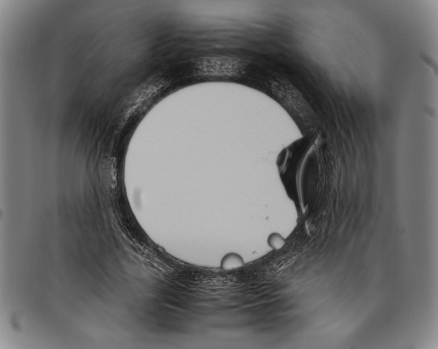 X0000096460731200802211125