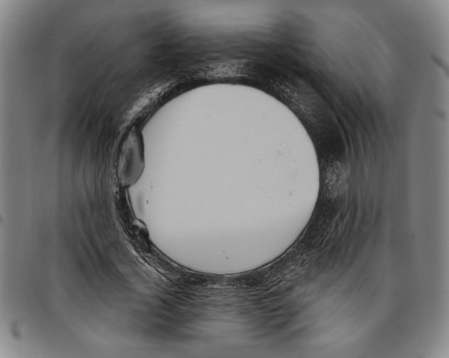 X0000096460732200802211125