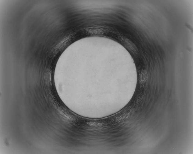 X0000096460733200802211125