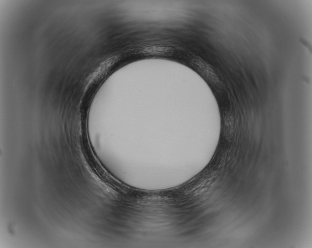 X0000096460734200802211125