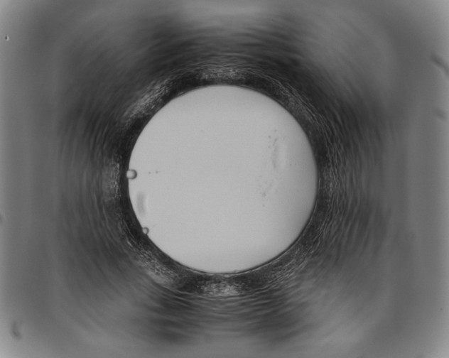 X0000096460735200802211125