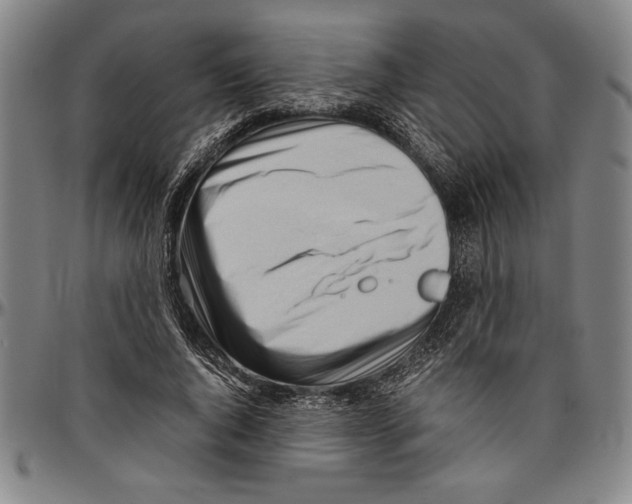 X0000096460736200802211125