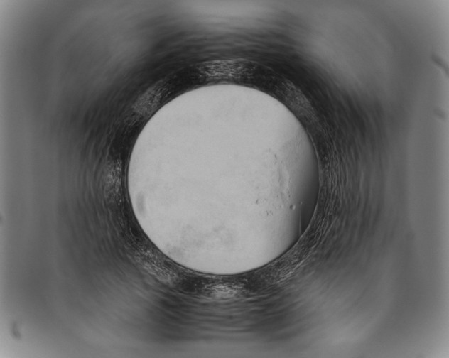 X0000096460737200802211125