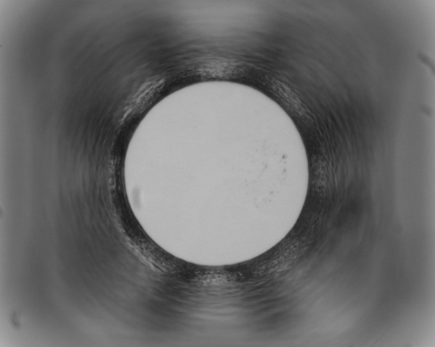X0000096460738200802211125