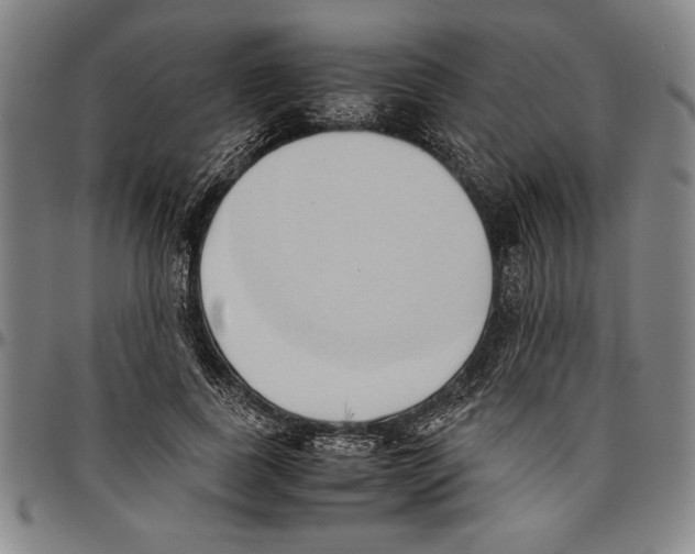X0000096460739200802211125