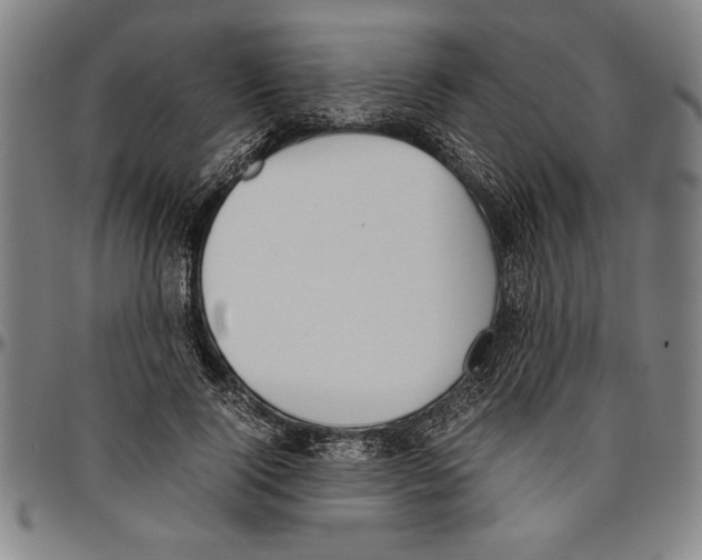 X0000096460740200802211125