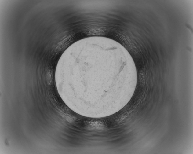 X0000096460741200802211125