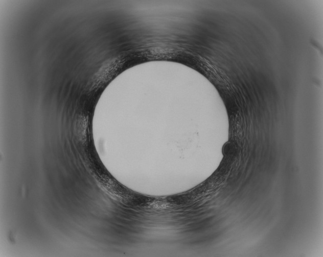X0000096460742200802211125