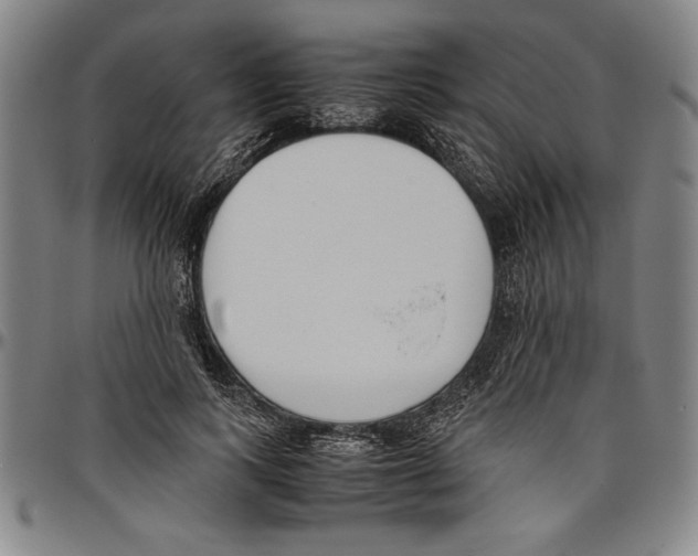 X0000096460743200802211125