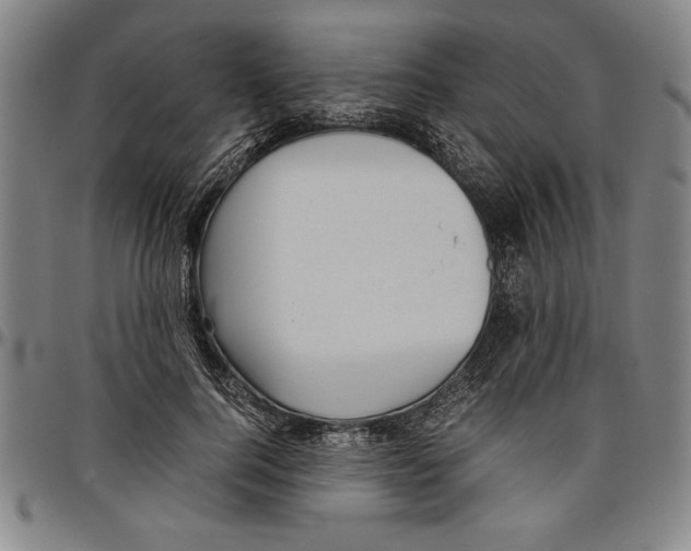 X0000096460744200802211125