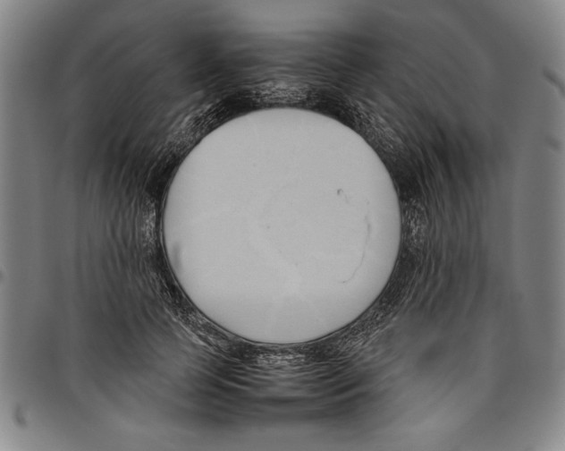 X0000096460745200802211125