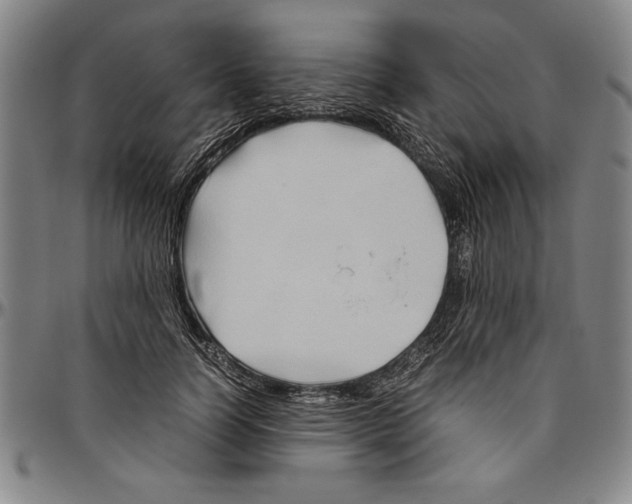 X0000096460746200802211125