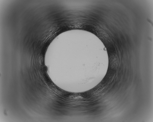 X0000096460747200802211126