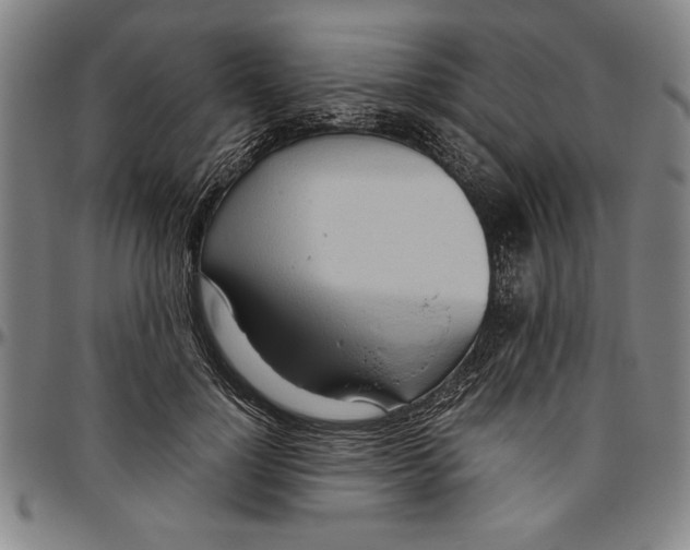 X0000096460748200802211126